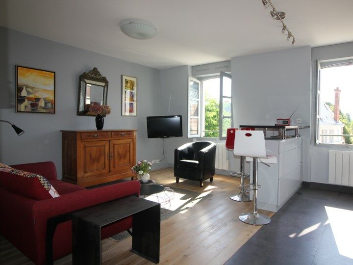 Living room premium Rent Insead Fontainebleau Private flat apartment