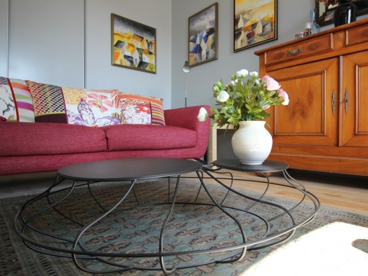 Living Room  premium Rent Insead Fontainebleau Private flat apartment